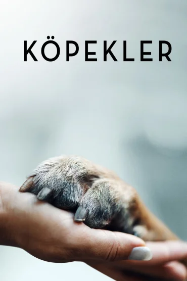 Köpekler